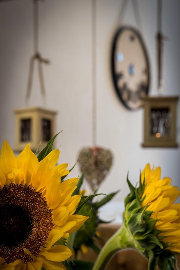 Cracow Best Location Apartment By Cozyplace Krakow Bagian luar foto
